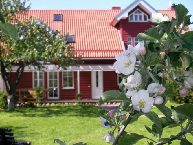 Apartamentai Obelyne Palanga Eksteriør billede