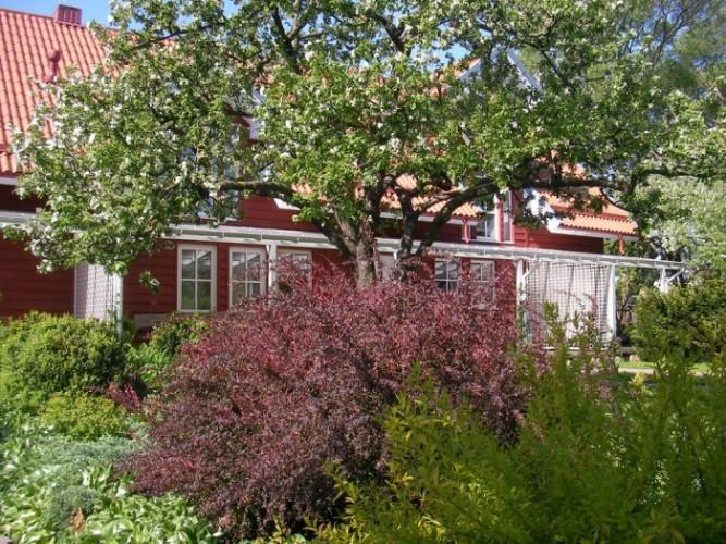 Apartamentai Obelyne Palanga Eksteriør billede